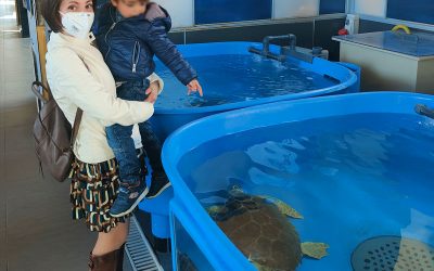 Visita al Turtle Point di Portici – Centro Ricerche Tartarughe Marine